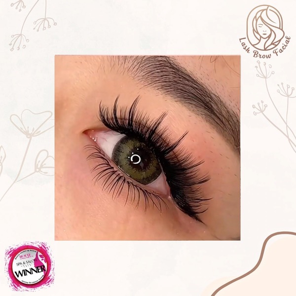 Designer Camellia Lashes — eyelash extension Singapore at Serenity Beaute